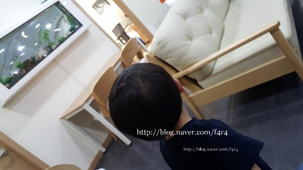 a3538c275726f0f40e286f068c64d12c_1508740
